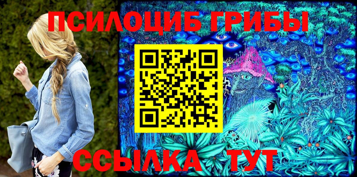 Мытищи  Галлюциногенные грибы прущие грибы  Вход с VPN 